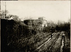 Фотография. Поливка огорода в Ставропольской психиатрической колонии. 1930-е гг. Из фотоальбома главного врача А.Я. Доршта 1939 г.